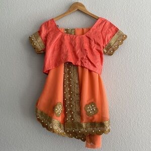 Pakistani Indian Saree